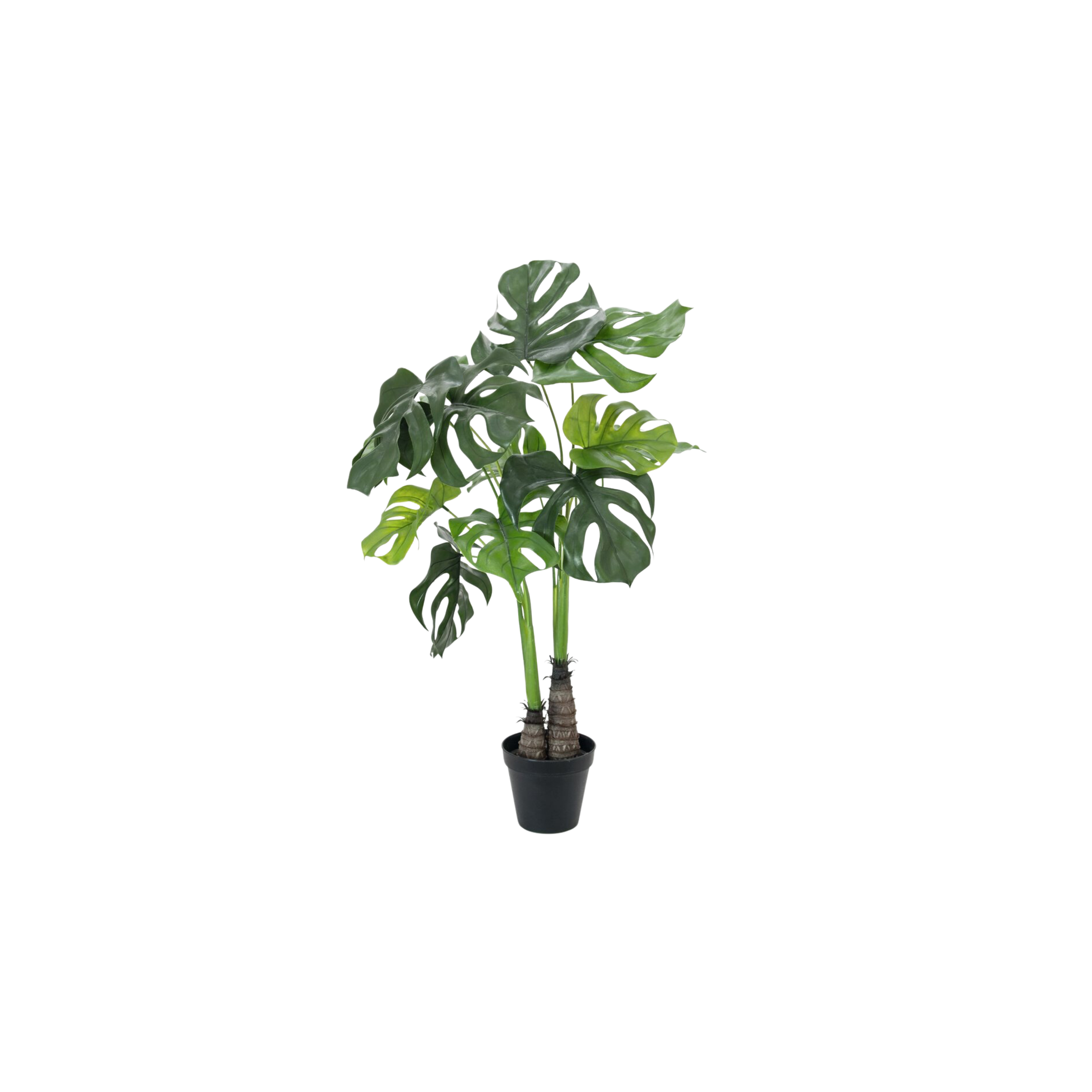 Monstera künstlich Dekopflanze mieten online